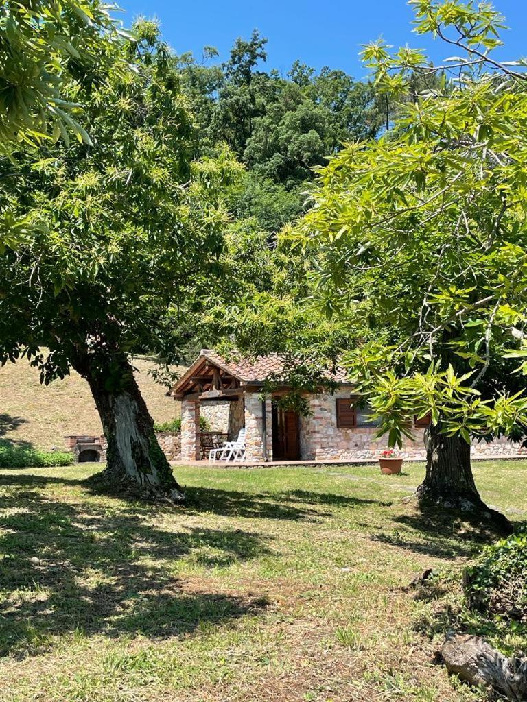 Casa Nel Bosco Villa Sassetta Luaran gambar